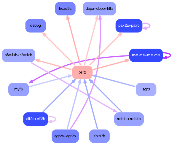 PNG image of the network