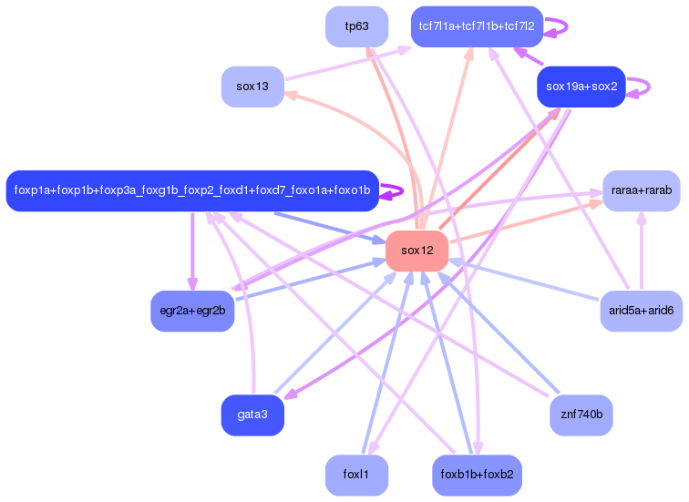 PNG image of the network