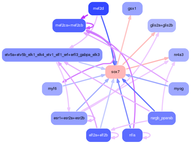 PNG image of the network