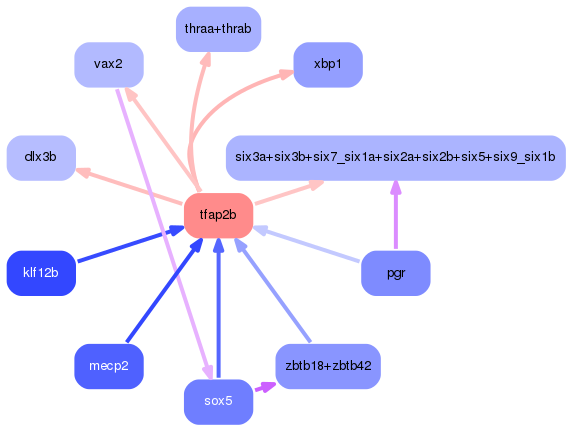 PNG image of the network