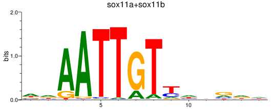SeqLogo of sox11a+sox11b