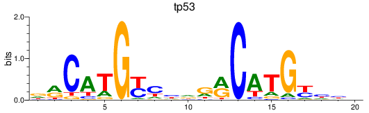 SeqLogo of tp53