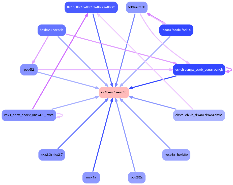 PNG image of the network
