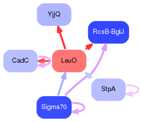 PNG image of the network