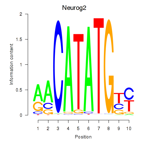SeqLogo of Neurog2