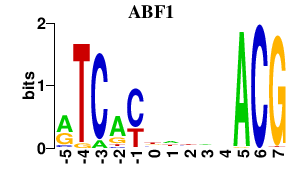 SeqLogo of ABF1