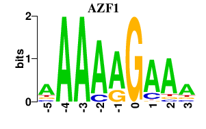 SeqLogo of AZF1