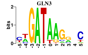 SeqLogo of GLN3