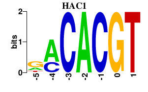 SeqLogo of HAC1