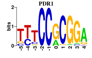 SeqLogo of PDR1
