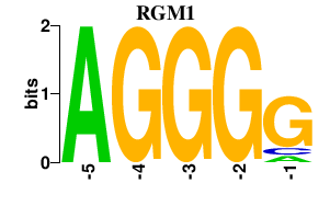 SeqLogo of RGM1