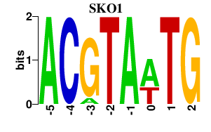 SeqLogo of SKO1