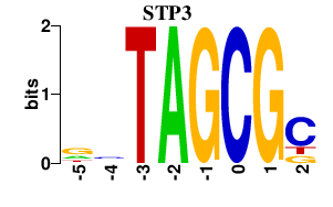 SeqLogo of STP3